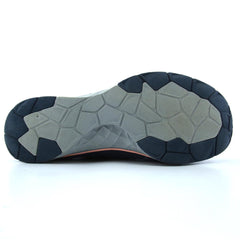 DR SCHOLLS ANNA