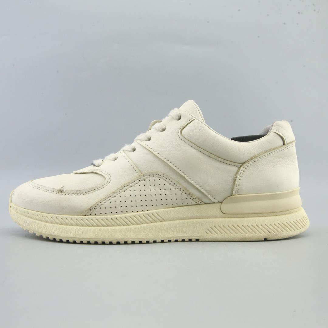 EVERLANE THE TRAINER
