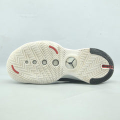 JORDAN XXXIV LOW